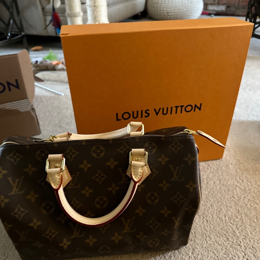 Louis Vuitton Speedy 30